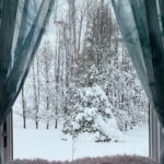 Deep snow and bare trees outside a window, the weather a home faces when the heat goes out