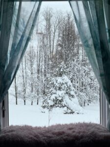 Deep snow and bare trees outside a window, the weather a home faces when the heat goes out