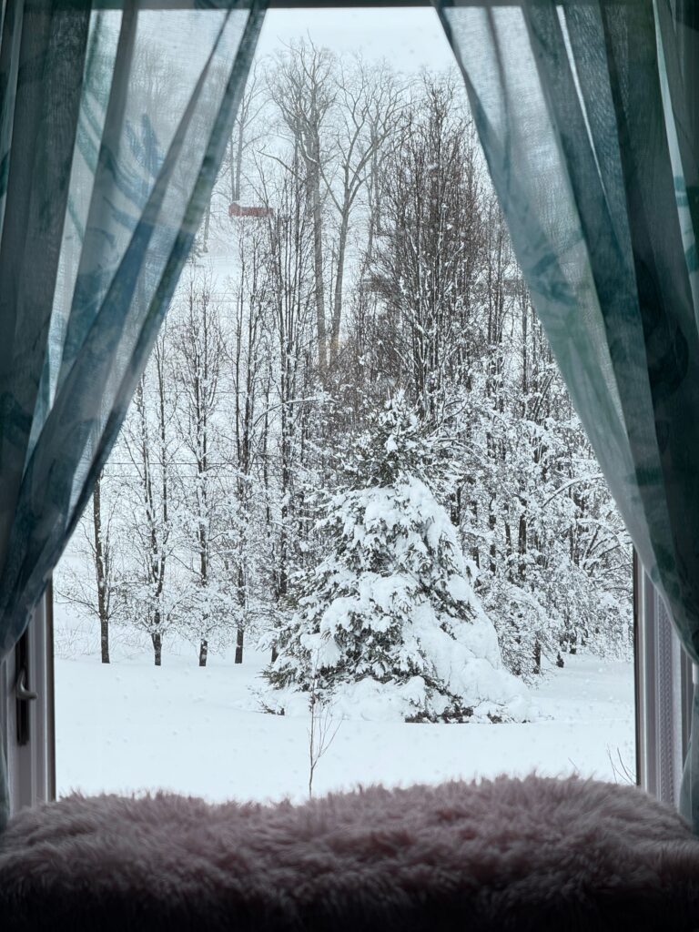 Deep snow and bare trees outside a window, the weather a home faces when the heat goes out